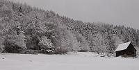 Photo 005 Il ne neige plus (presque) mais le ciel est encore tout gris. Un hurlement monte de la forêt !!
